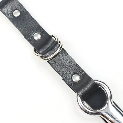 Kinky Hook and with 5853 EverydayUse Collar Leash Anal 0726